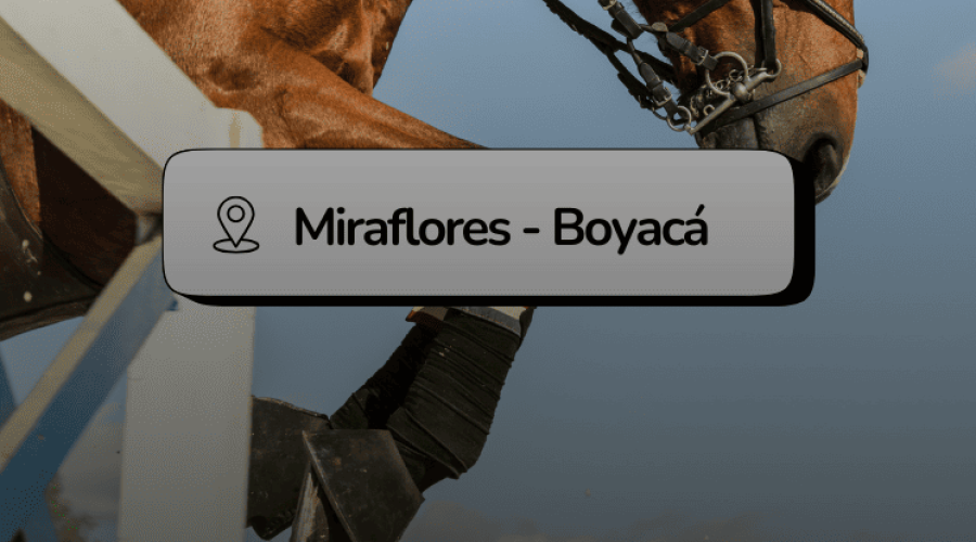 XXI EXPOSICIÓN EQUINA GRADO B