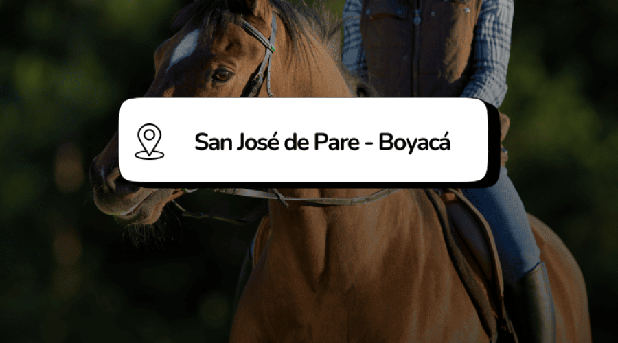 CONCIERTO AGROPECUARIO Y GRAN CABALGATA