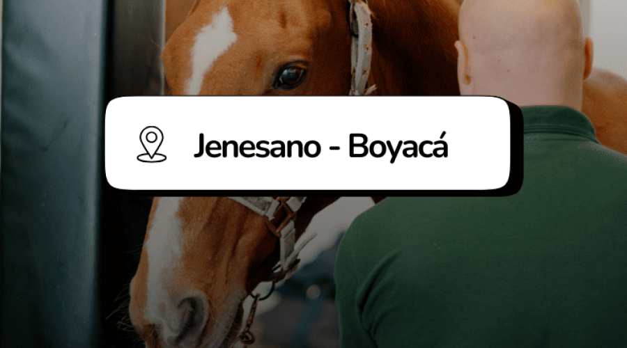 VI Festival Equino de Propietarios Jenesano Boyacá