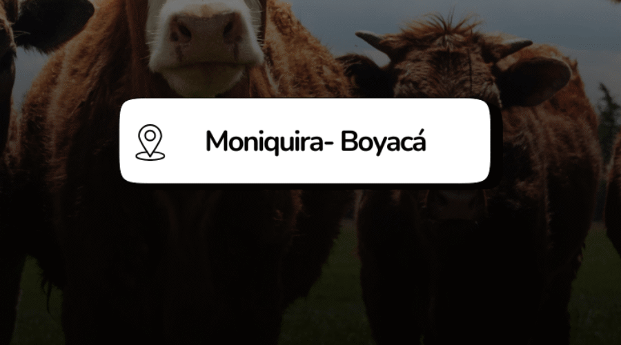 🐄🌱 10° Muestra Regional Ganadera y Agroindustrial – Moniquirá 2025 🌱🐄
